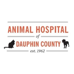 Animal hospital of dauphin county - Find out what works well at Animal Hospital of Dauphin County from the people who know best. Get the inside scoop on jobs, salaries, top office locations, and CEO insights. Compare pay for popular roles and read about the team’s work-life balance. Uncover why Animal Hospital of Dauphin County is the best company for you.